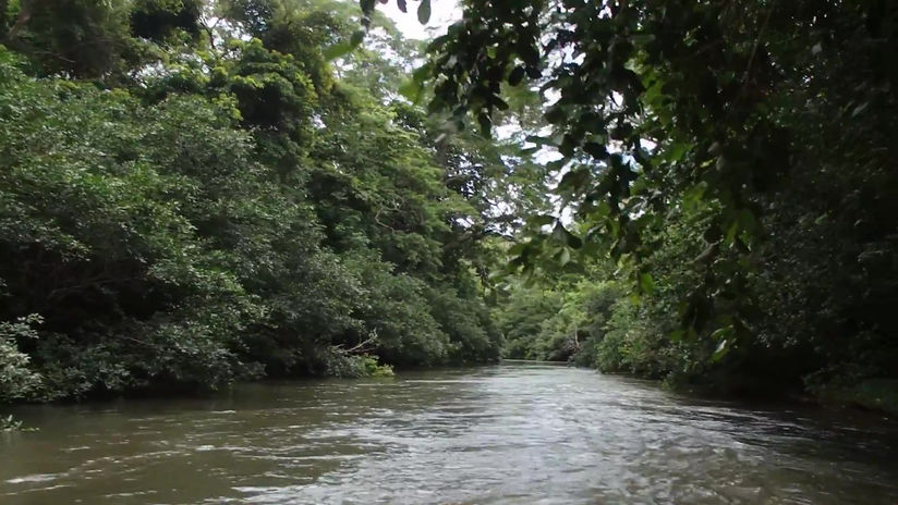 Rafting Along a Lazy River in Costa Rica